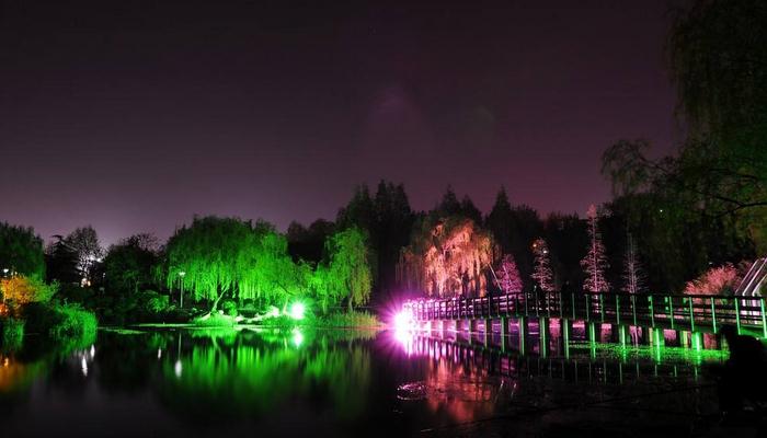 公園\廣場(chǎng)景觀植物亮化效果